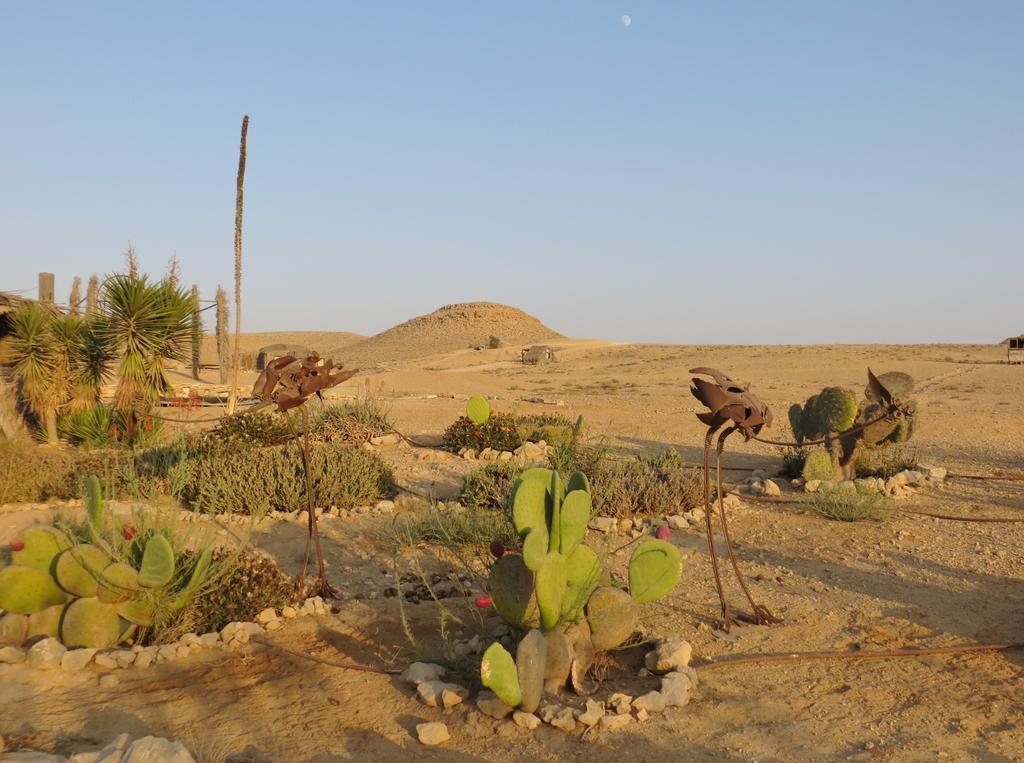 Succah In The Desert Mitzpe Ramon Extérieur photo