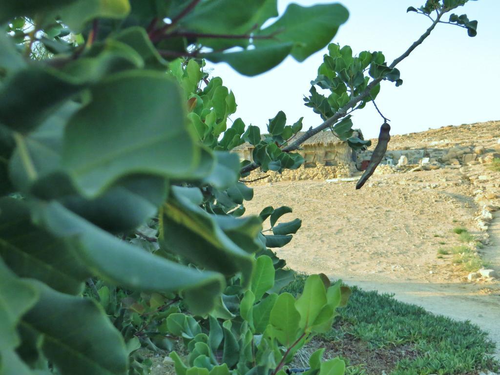 Succah In The Desert Mitzpe Ramon Extérieur photo